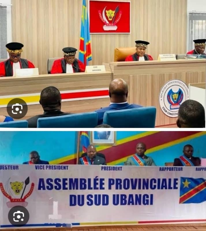 RDC : La cour constitutionnelle met plus bas que terre l'Assemblée Provinciale du Sud-Ubangi en réhabilitant les députés provinciaux invalidés par cet organe délibérant.

